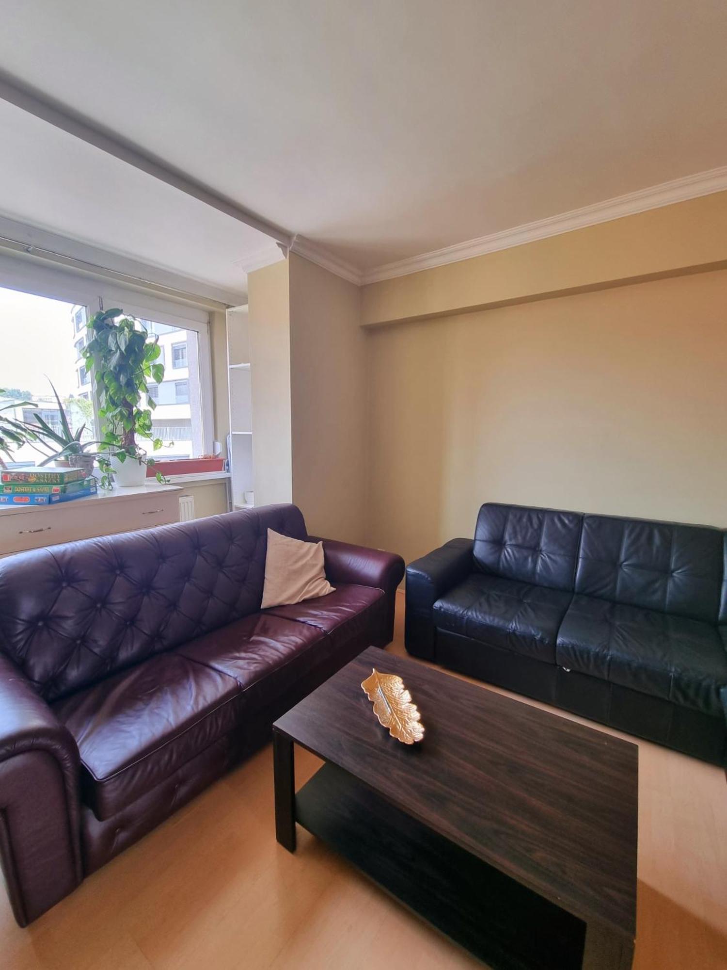 Big 4 Room Huge Apartment Μπρατισλάβα Εξωτερικό φωτογραφία